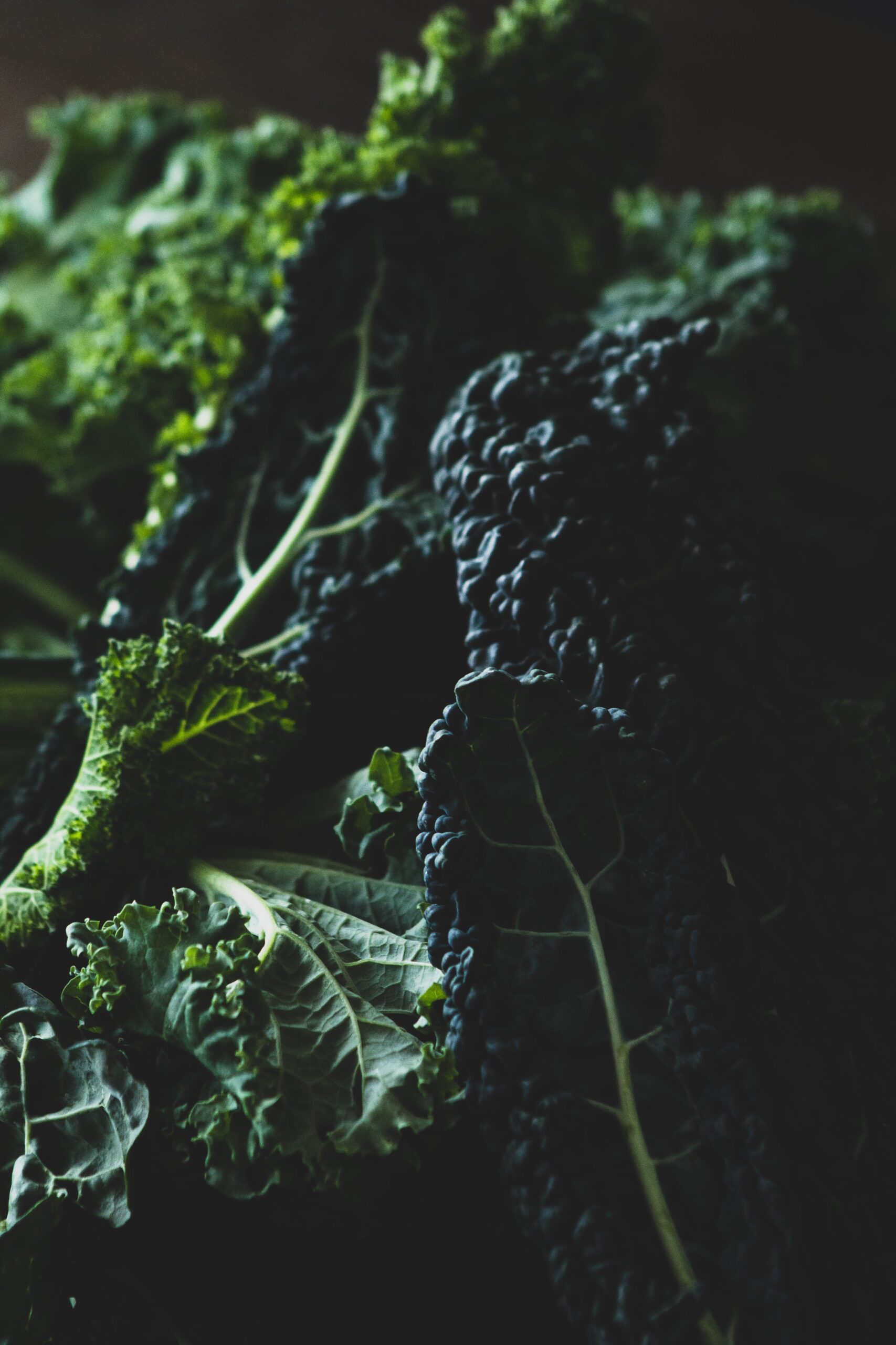 The Power of Kale: The Ultimate Superfood for Your Fitness and Nutrition Goals