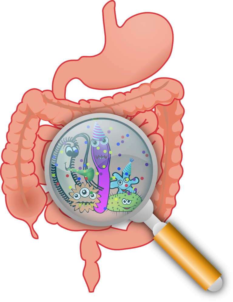 The Gut Stuff: How to Identify and Deal with IBS