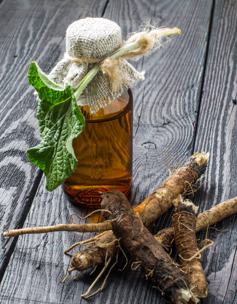 Lymphatic Rockstar: Why Burdock Tea Should Be Your New Daily Habit